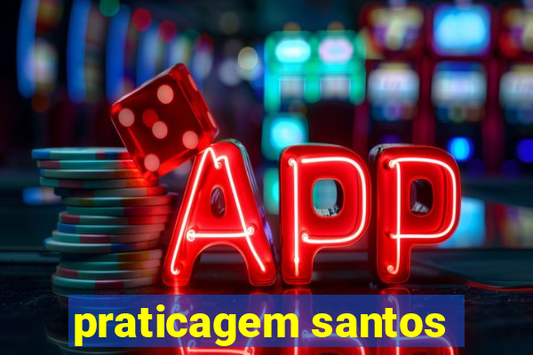 praticagem santos